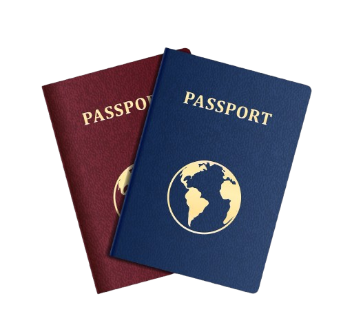 EU Passport Naturalization icon